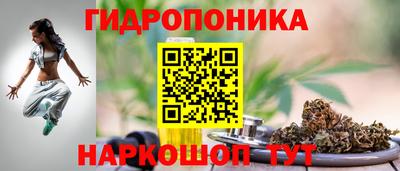 спайс Дубна