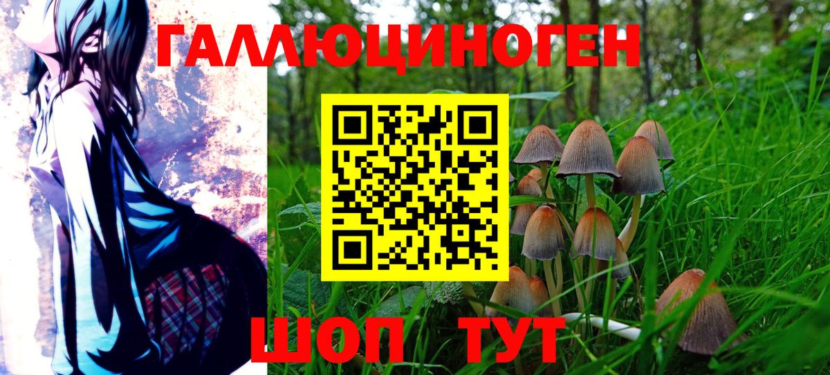 Галлюциногенные грибы ЛСД Нефтекумск